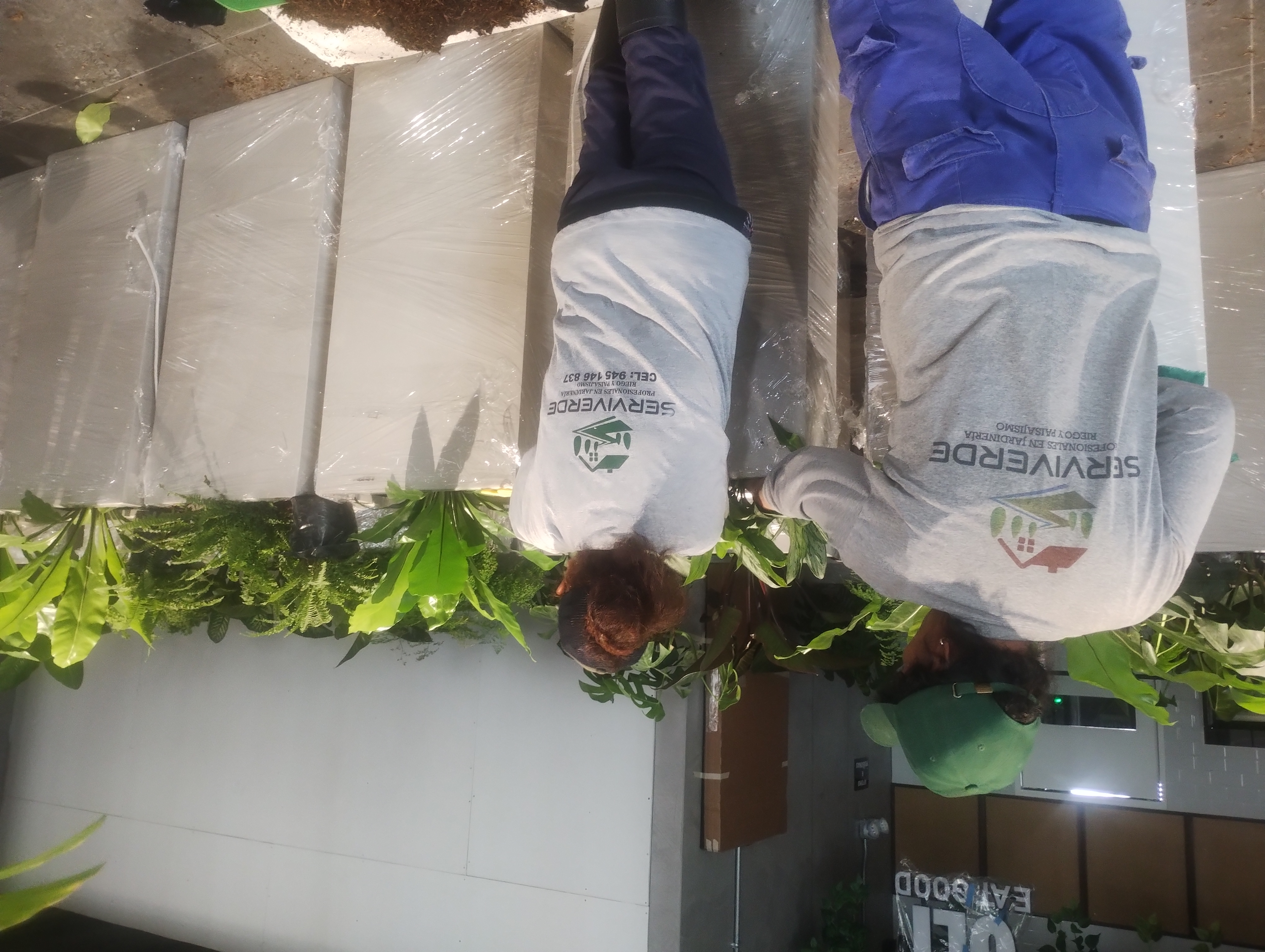 PLANTAS INTERIORES